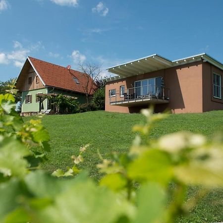 Ferienhaeuser Im Weingarten Fehring Esterno foto