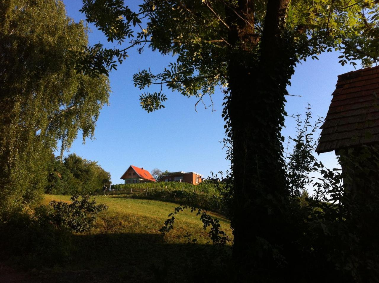 Ferienhaeuser Im Weingarten Fehring Esterno foto